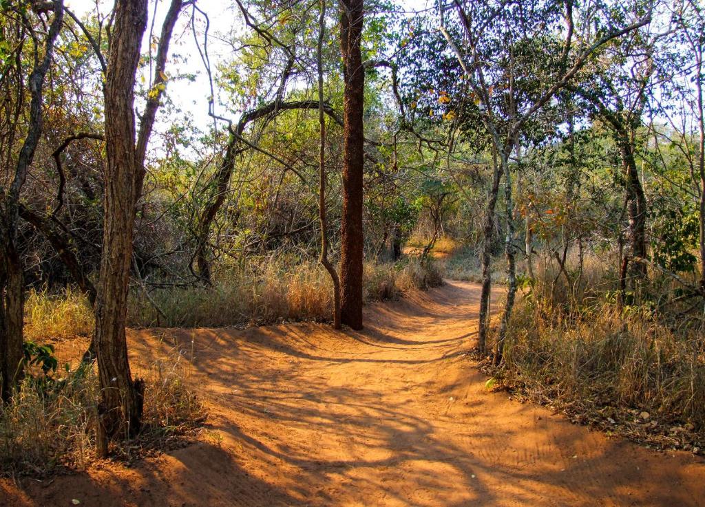 Umkhumbi Lodge Hluhluwe Bagian luar foto