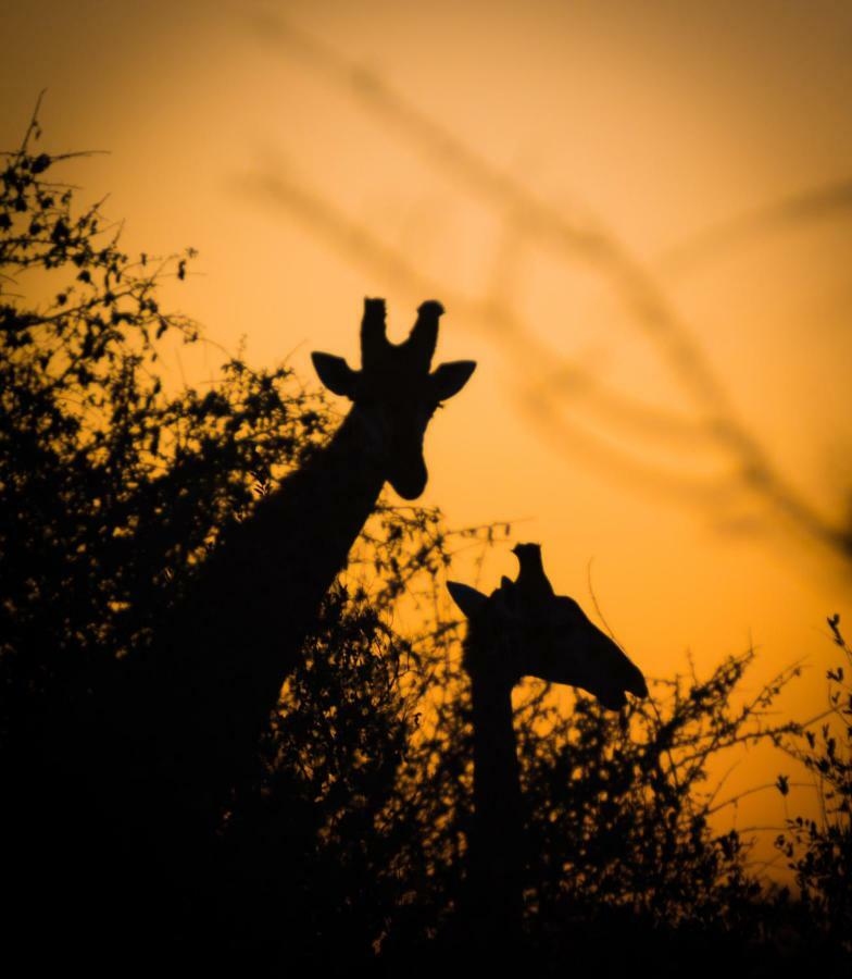 Umkhumbi Lodge Hluhluwe Bagian luar foto